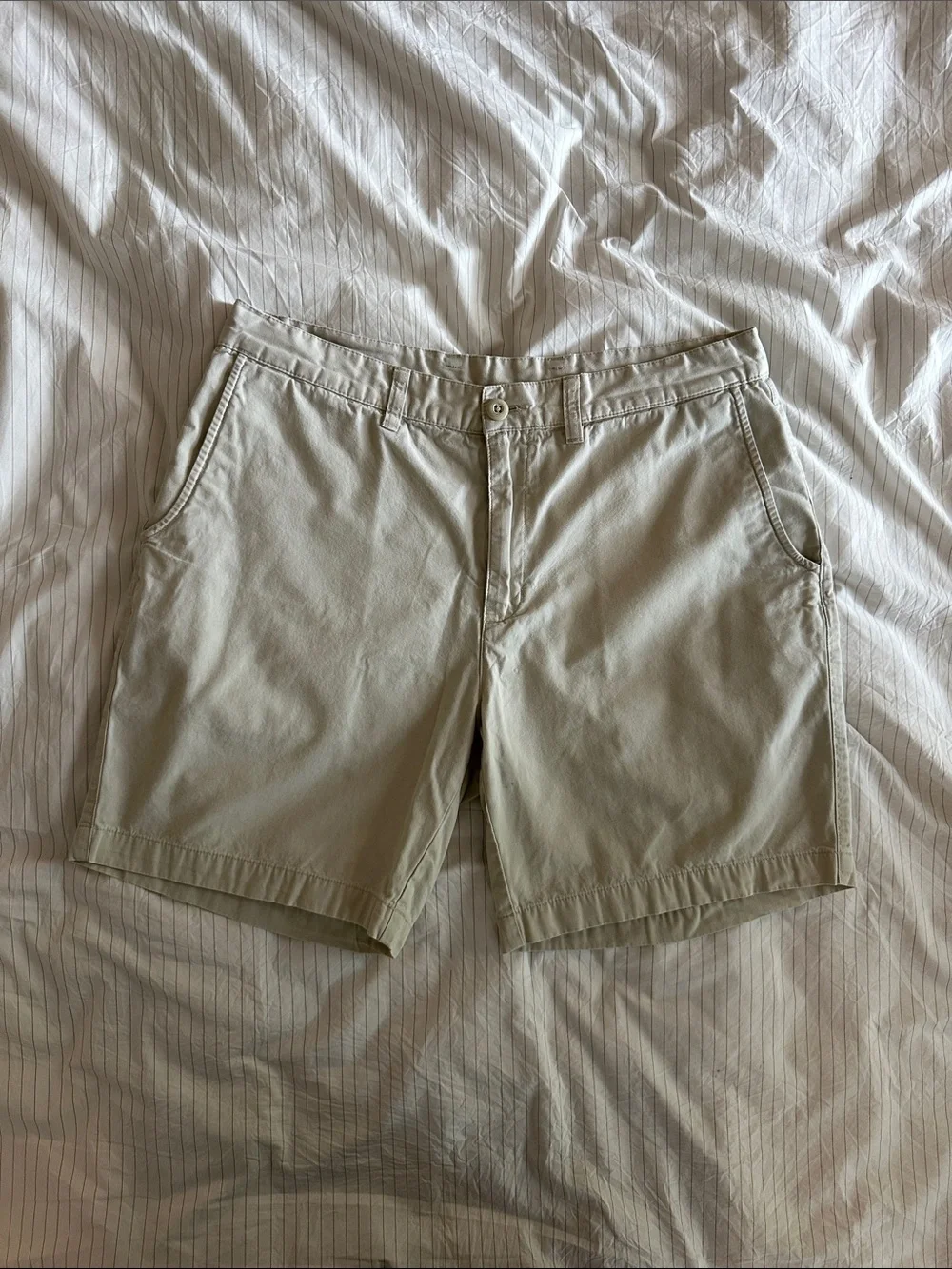 Patagonia - Men's Worn Wear Organic Cotton Shorts in Beige - 34